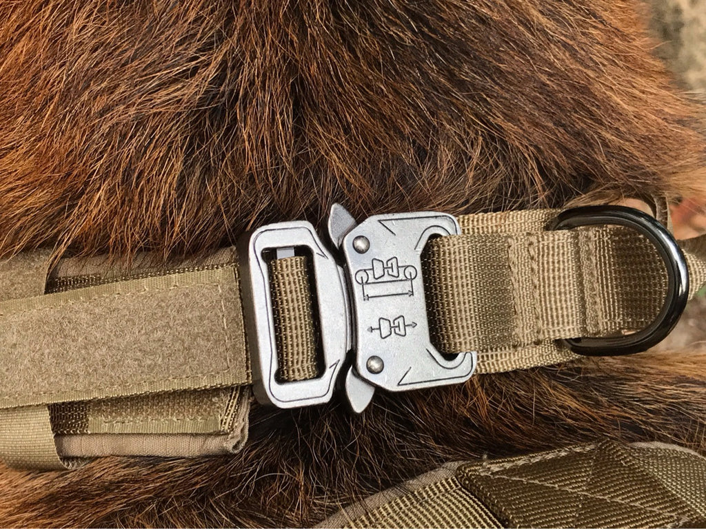 Pet training collar Adjustable nylon Pet collar military training dog