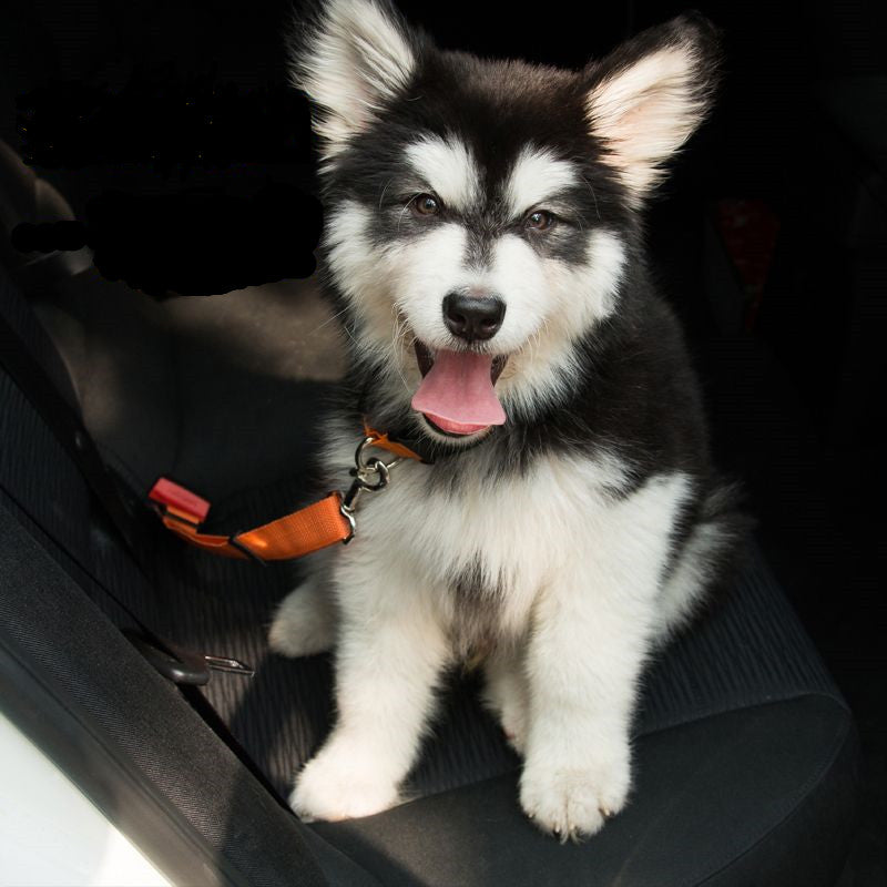 Pet Seat Belt Adjustable Car Seat Belt